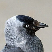 Takituko25