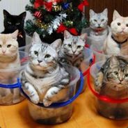 Luminaire <3 Finn :D