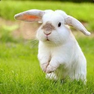 Hops