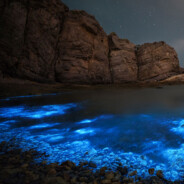 图图，你牛爷爷来了