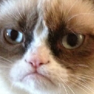 rysiek1875skins.army