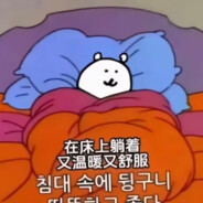 K325-譟音污染體