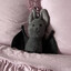 pinkandfluffie