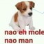 o sorriso