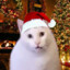 Holly Jolly Cat