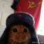 Gatito Comunista