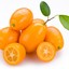 kumquat