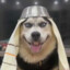 brutalny borys bombardier