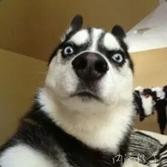 我是你们永远赢不了的爸爸