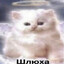 2700 рублей