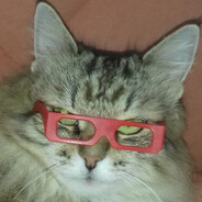 MiauShow avatar