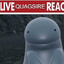 live jawn reaction