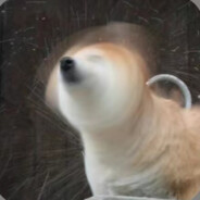 不知道取什么名字