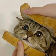 4𝑪𝒉𝒆𝑵𝑮.