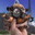 grouse