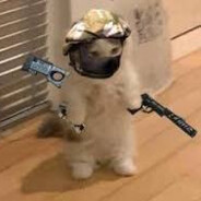 𝙋𝙧𝙞𝙢𝙚𝘾𝙖𝙩