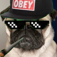 Gangster Lulu's avatar