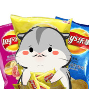 你是马儿我的眼