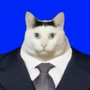 渣新 avatar