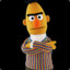 Bert