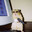 BAKCBITER