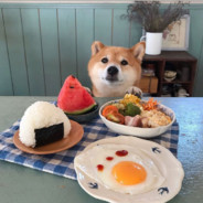 清纯男子高中生