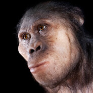 Australopithecus