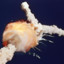 The Challenger Disaster