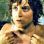 Frodo Faggins
