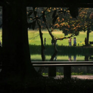 盒子不是B别舔这么久