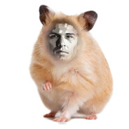 Ellis Chomik_47 avatar