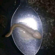 Eggless sperm