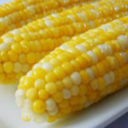 CORN
