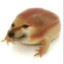 GromP