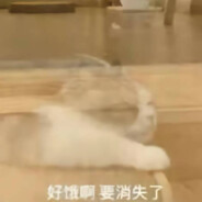 超级无敌大帅哥王春红