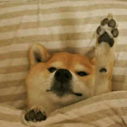 广东下雪再想你