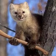 可能他也有烦恼