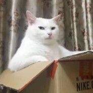 涐們の啈湢像蓅煋丶