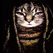 www