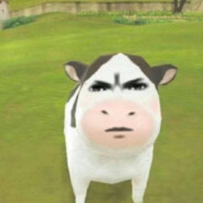 我奶常扇赵子龙