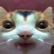 Michael McDonald #1 Fan