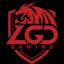 PSG-LGD.Diska