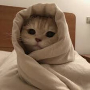 Xeshy0 - steam id 76561199132643652