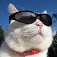 酷酷小队突破手