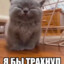 tapok