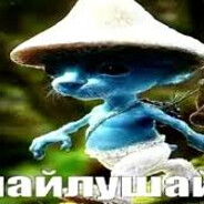 (☝◞‸◟)☞ шайлуша