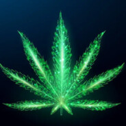 ︵ᴾᴿᴼ    K    ᵛᶰ︵