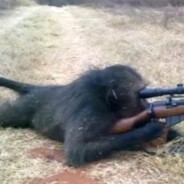 Sniper_Monkey