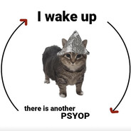 Psyop Cat