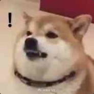 戒色中的纯爱战士